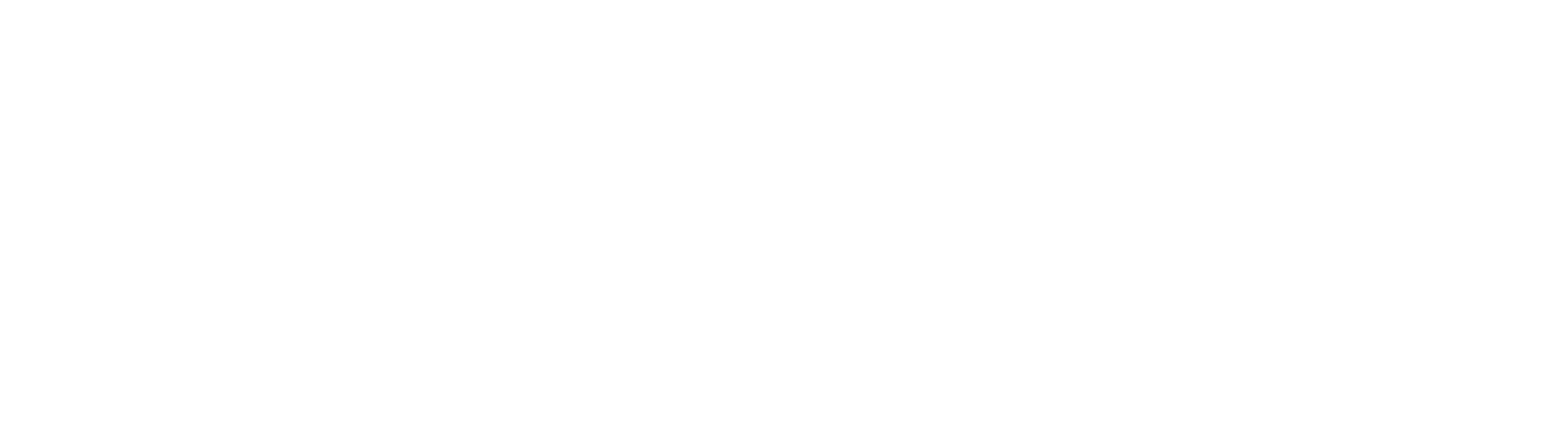 Raiz da Ideia